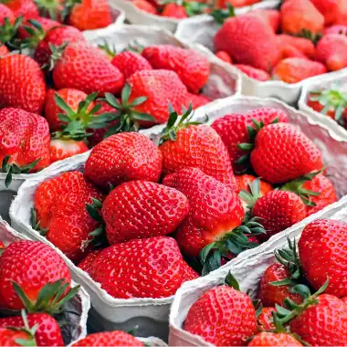 Freeze Dried Strawberry Powder: How to Make, Benefits and Uses
