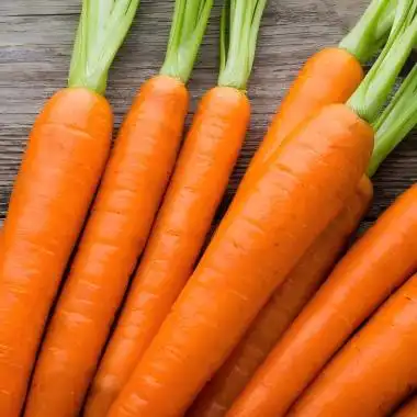 Dried Carrot Powder: An All-Natural and Convenient Way to Boost Your Health Dried Carrot Powder: An All-Natural and Convenient Way to Boost Your Health