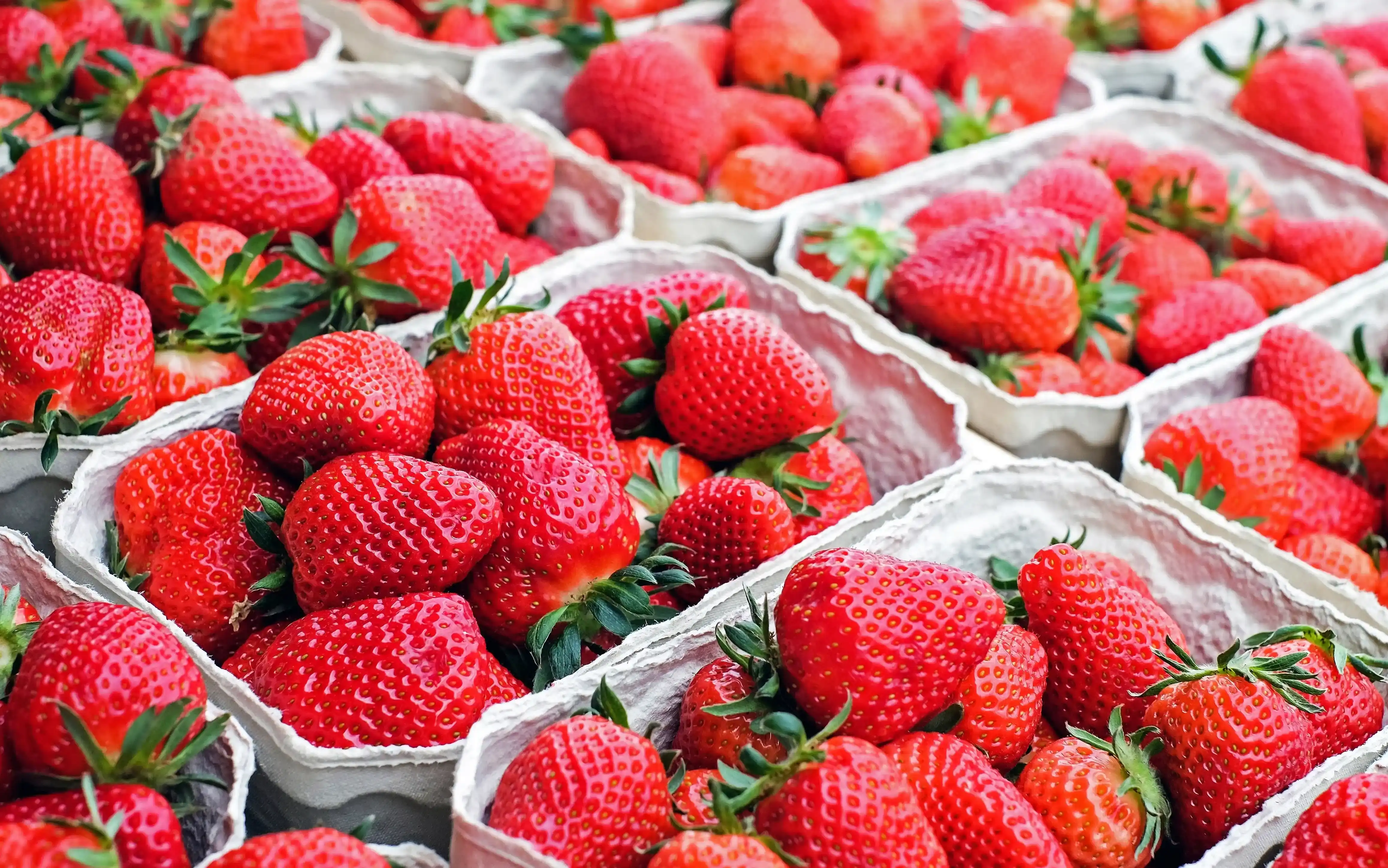 Freeze-Dried Strawberry Powder: Production and Nutrition