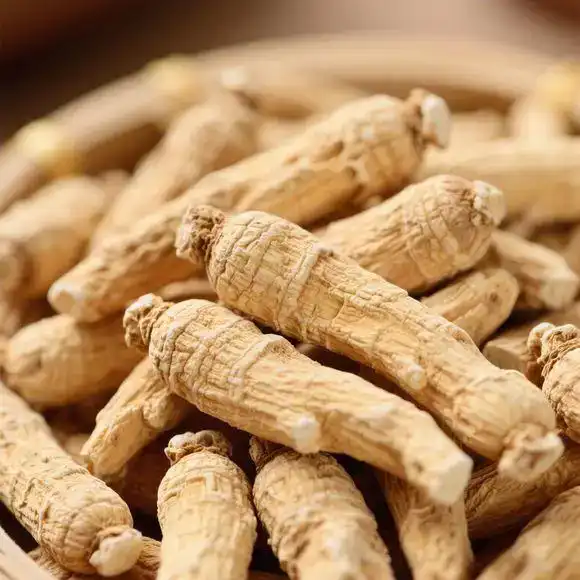 What Is American Ginseng Extract Powder and Why Is It Popular? What Is American Ginseng Extract Powder and Why Is It Popular?