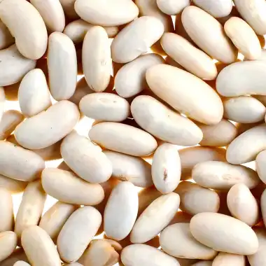 White Kidney Beans Extract: What It Is and How It Works