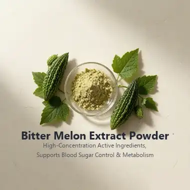 Bitter Melon Powder vs. Extract: Choosing the Right Ingredient Bitter Melon Powder vs. Extract: Choosing the Right Ingredient