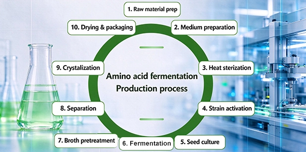 Amino Acid Production Technology product image
