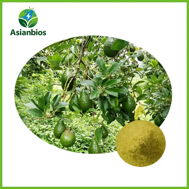 Bio Avocado-Pulver