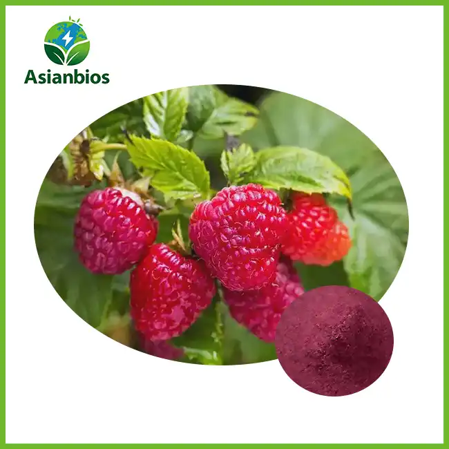 Poda ya Matunda ya Raspberry Wingi Poda ya Matunda ya Raspberry Wingi