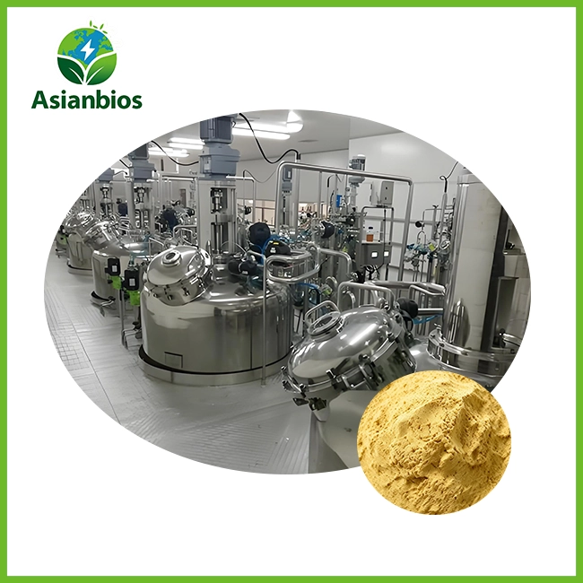 Corn Steep Liquor Fermented Protein Technology