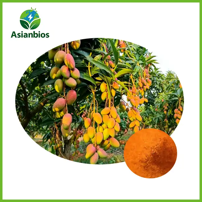 Grootmaat Mango poeier Grootmaat Mango poeier