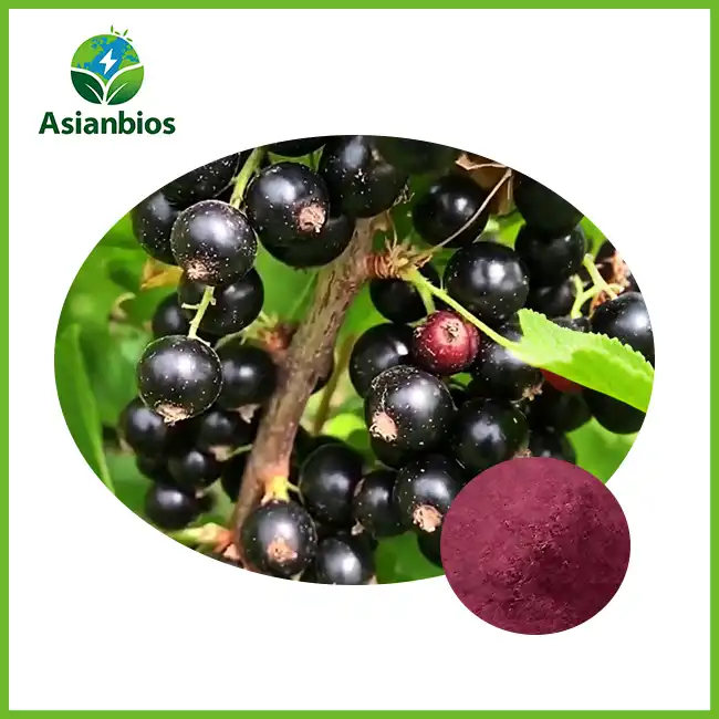 Blackcurrant Uebst Pudder