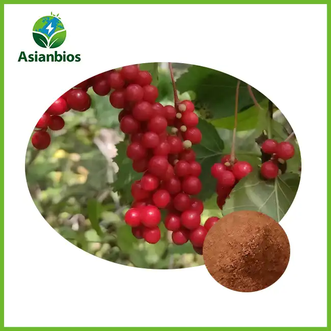 Schisandra-ekstrakpoeier Schisandra-ekstrakpoeier