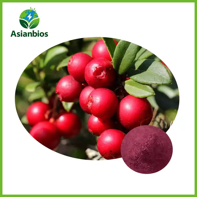 Poda ya Dondoo ya Bilberry ya Bulk Poda ya Dondoo ya Bilberry ya Bulk