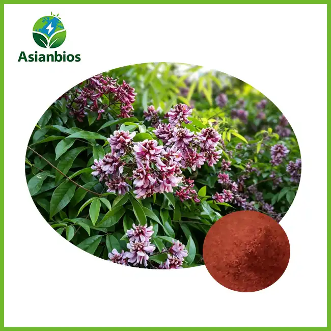Spray Extraction Process Spatholobus Extract - Asianbios