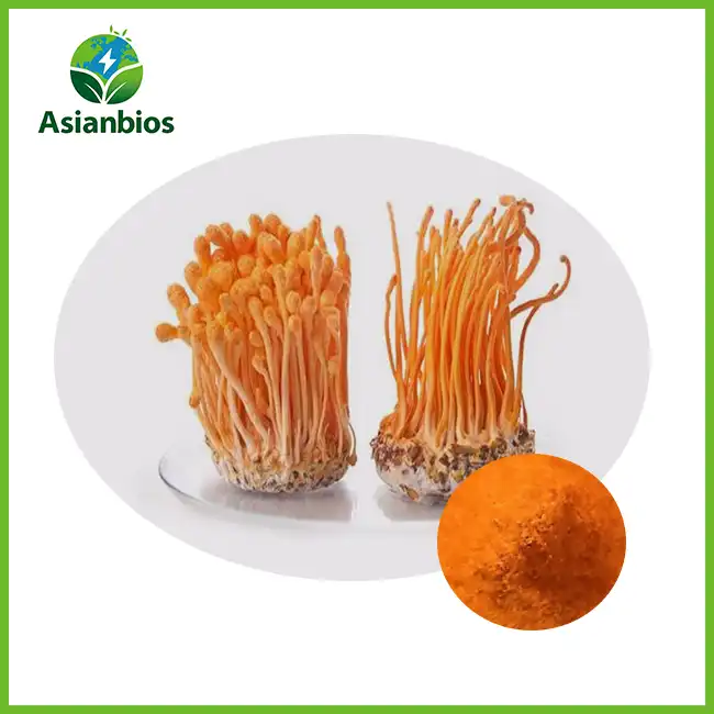 پودر عصاره Cordyceps Militaris