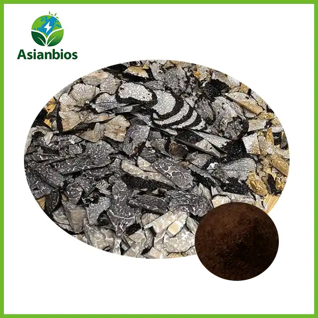 Poudre de truffe noire