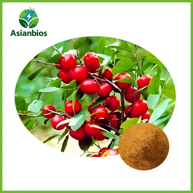 Poda ya Mbegu za Bushcherry za Kichina Poda ya Mbegu za Bushcherry za Kichina