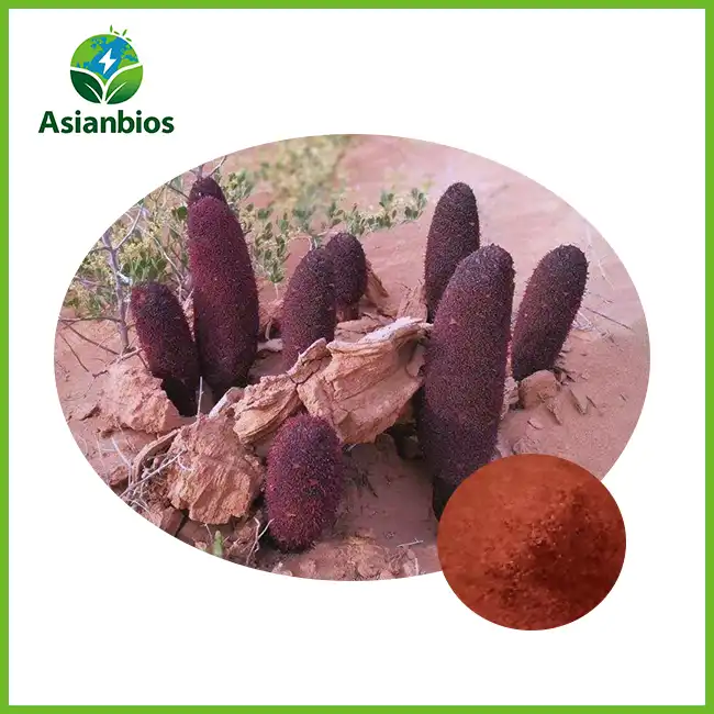 Cynomorium extract Cynomorium extract