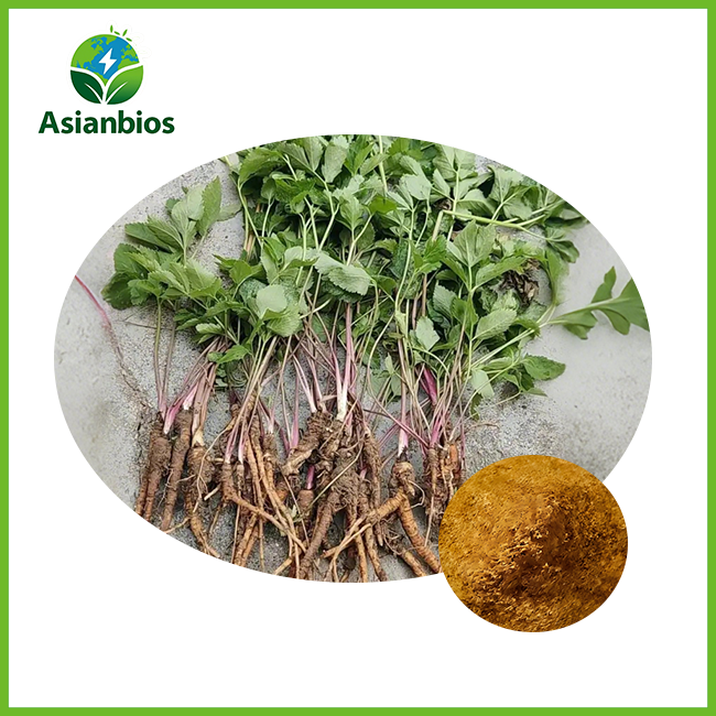 хокаи экстракти angelica sinensis