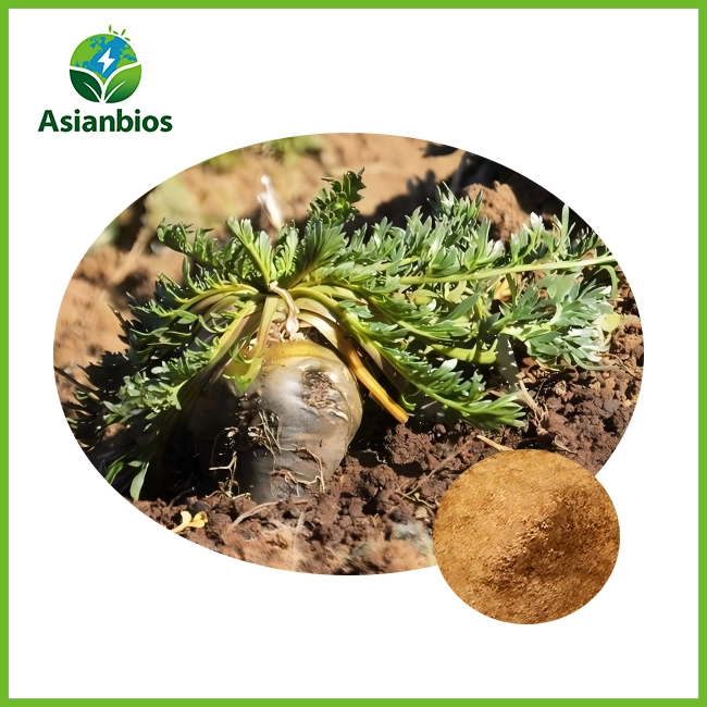 Maca-extract poeder