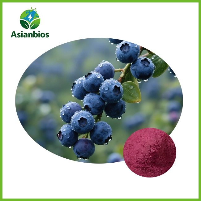 foda na tsantsar blueberry na halitta